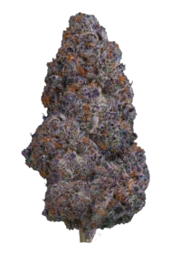 lemon cherry gelato strain​