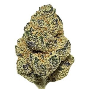 Gas Monkey Strain