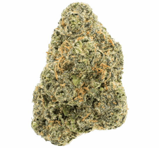 Baby Yoda THCA Flower - Image 3