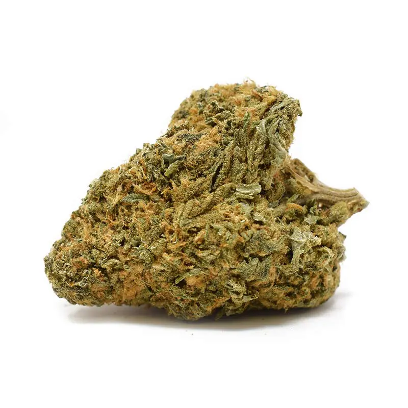 g13 haze - Image 2