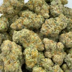 black ice strain