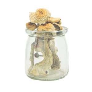 Golden Penis Envy Magic Mushrooms [14g pack]