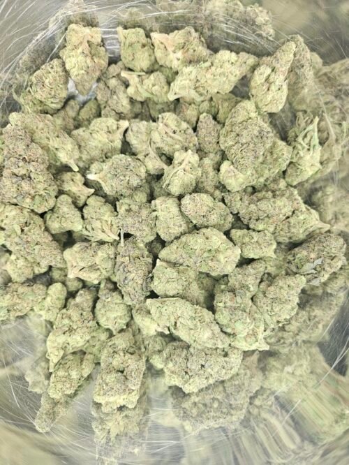 Gush Mintz THCA Flowers