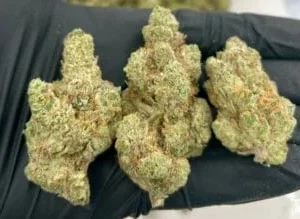 Modified Grapes AAAA – Indica