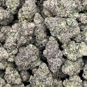 sherb cream pie strain