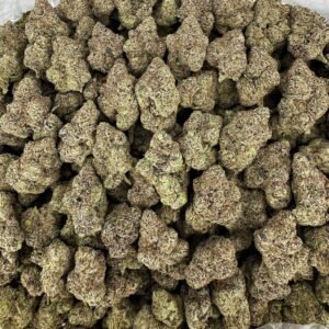 Bolo Runtz Exclusive