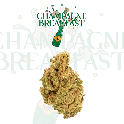 SB Flower - Champagne Breakfast
