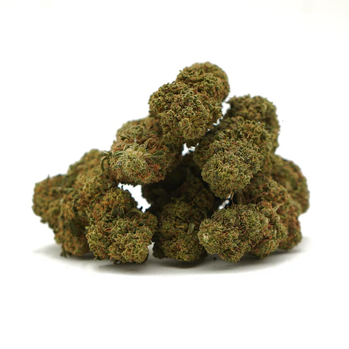 monster glue - Image 2