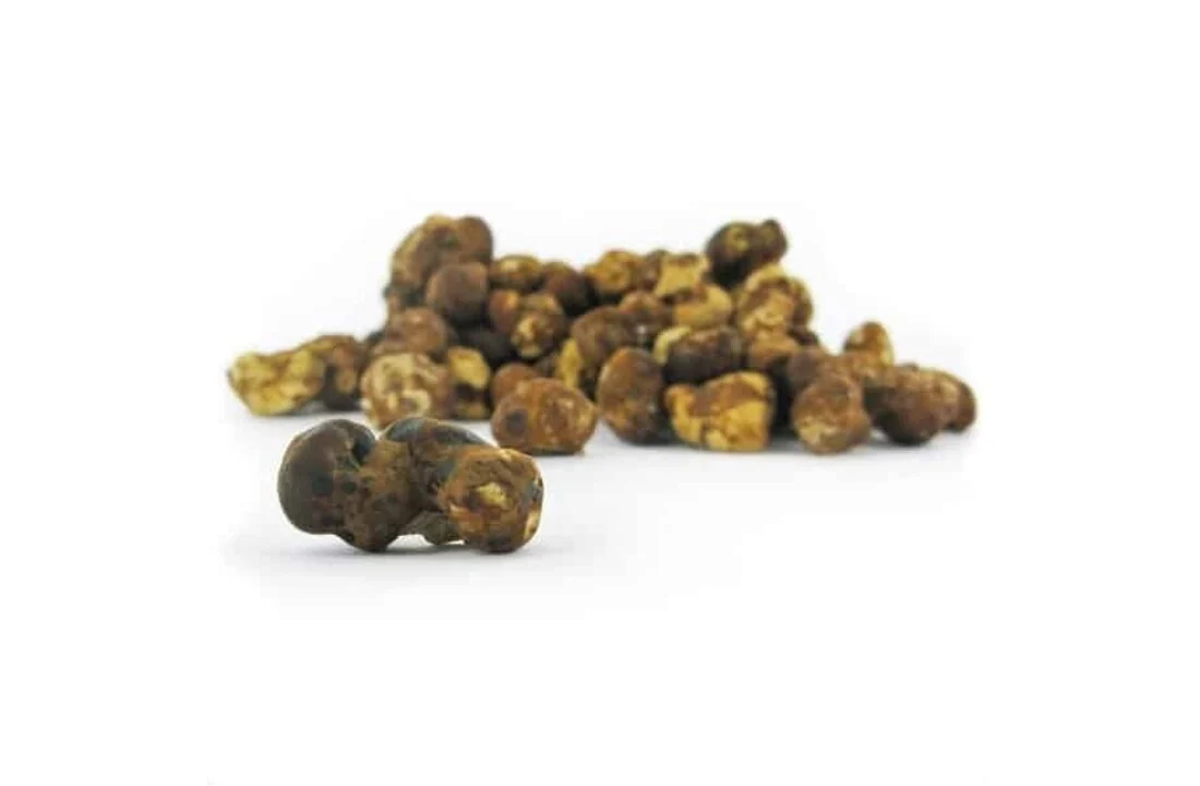 magic mushroom grow kit