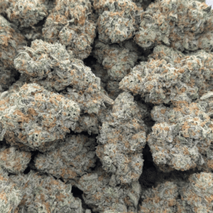 strawberry guava strain