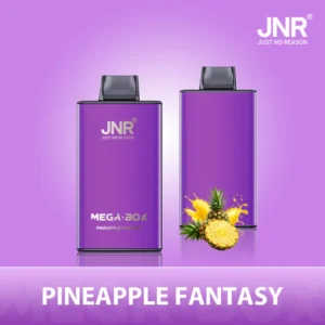 JNR Mega Box 25000